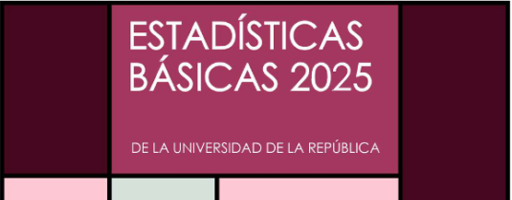 Estadísticas Básicas 2025